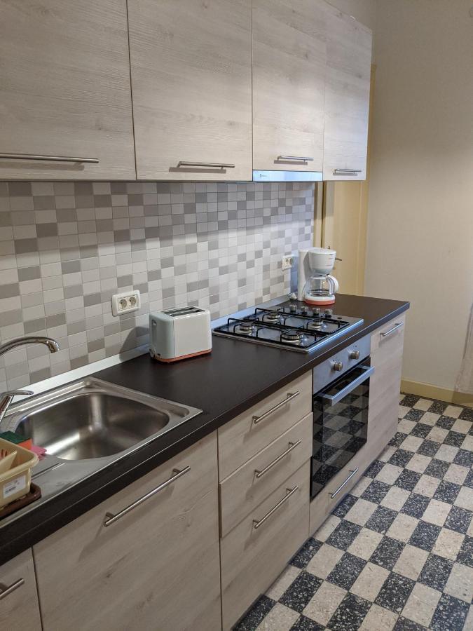 Cristian Apartment Near Old Town Timisoara Luaran gambar