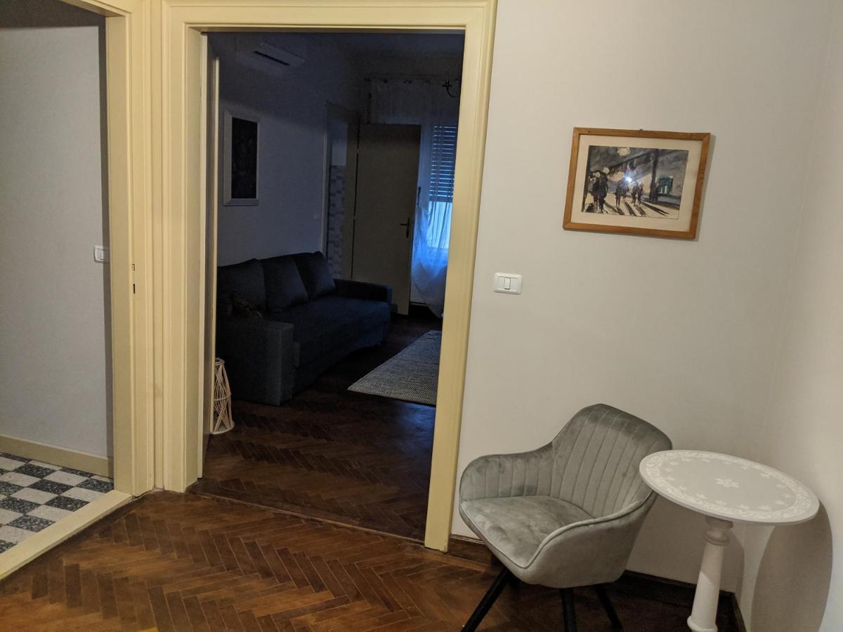Cristian Apartment Near Old Town Timisoara Luaran gambar