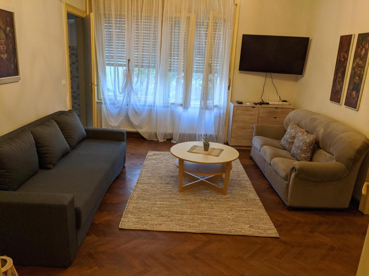Cristian Apartment Near Old Town Timisoara Luaran gambar