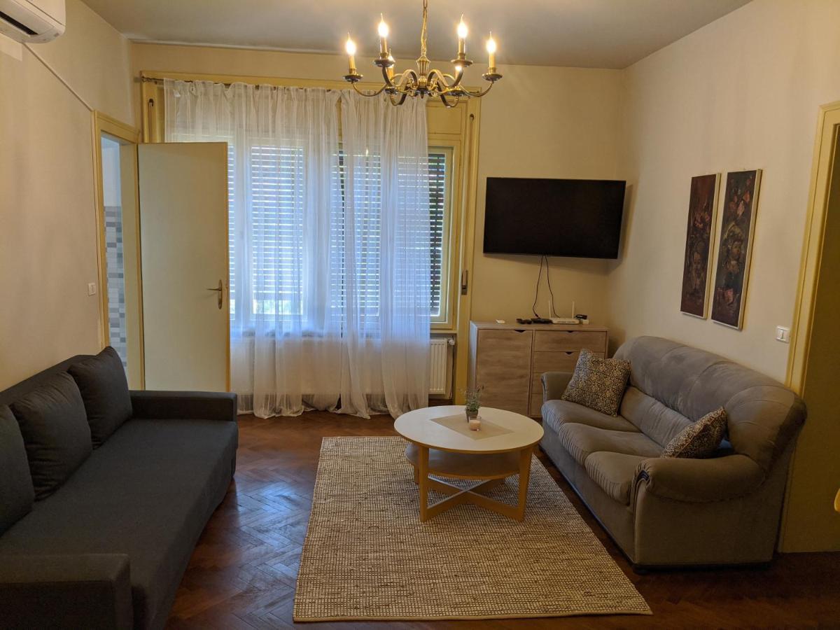 Cristian Apartment Near Old Town Timisoara Luaran gambar